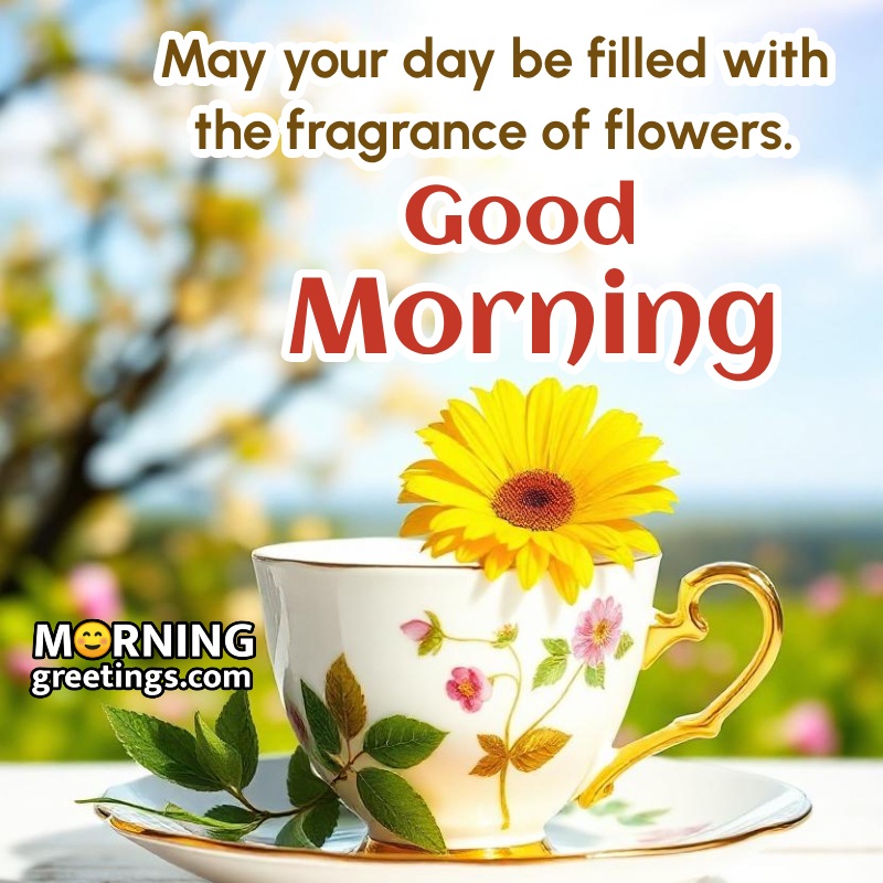 Morning Yellow Flowers And Cup Picture