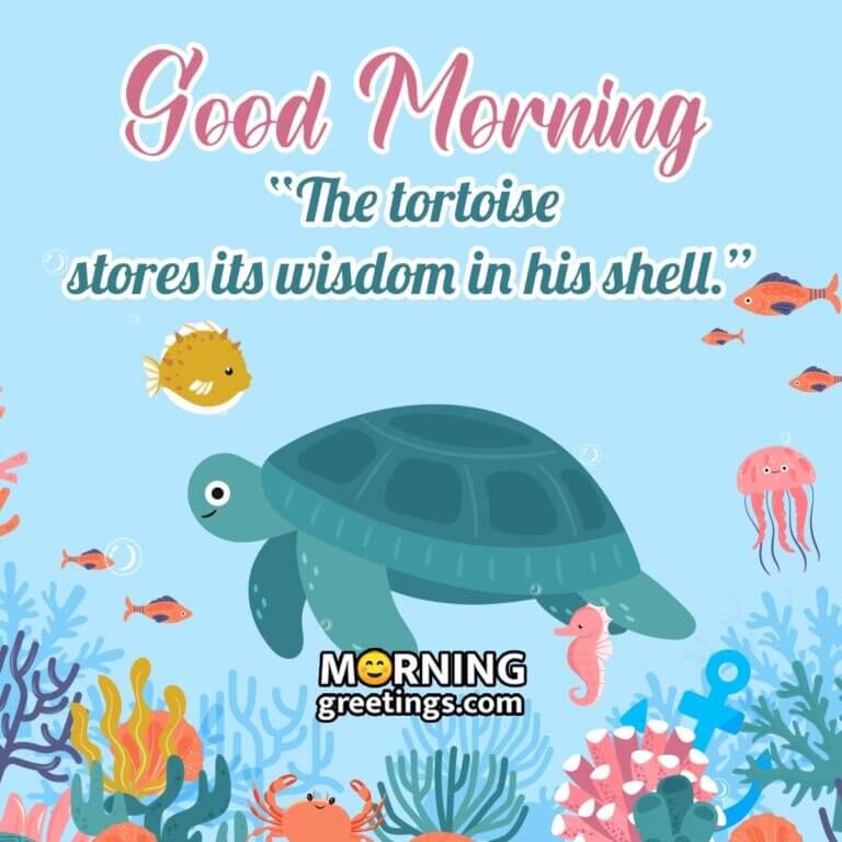 15 Good Morning Turtle Quotes And Saying - Morning Greetings – Morning ...