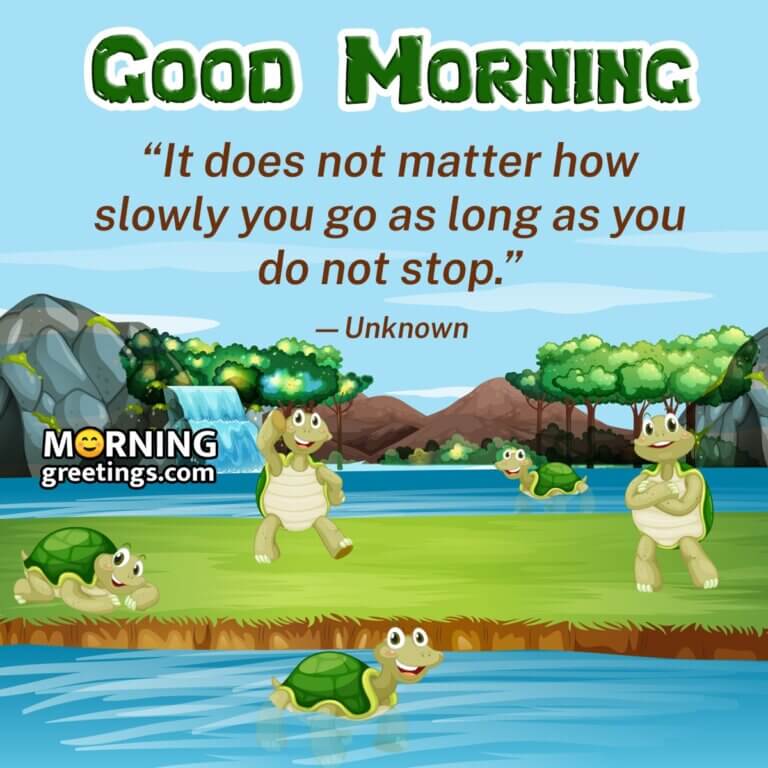 15 Good Morning Turtle Quotes And Saying - Morning Greetings – Morning 