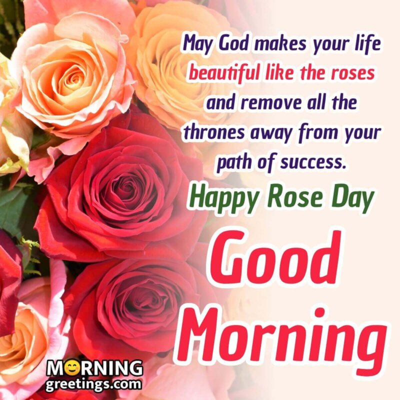 “Stunning Collection of Rose Good Morning Images in Full 4K Quality – 999+ Top Picks”
