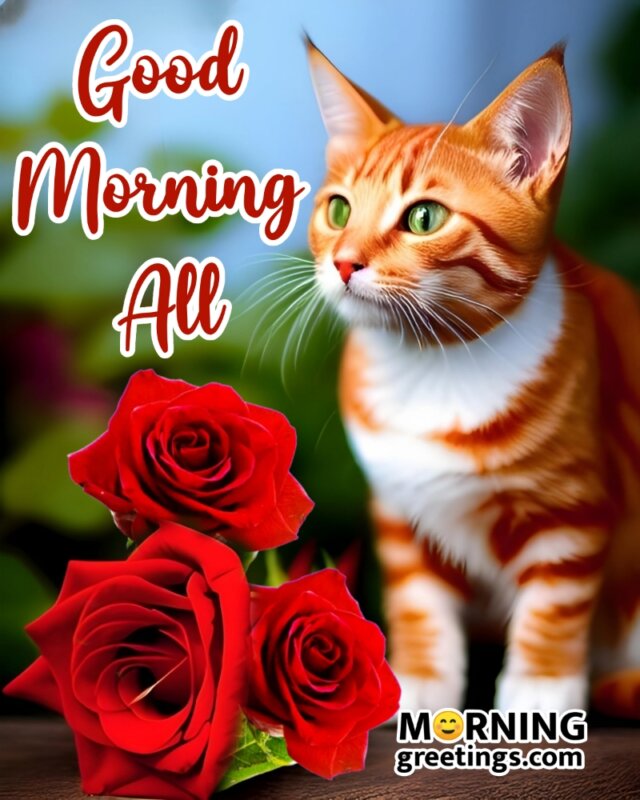 Cute Good Morning Cat Image