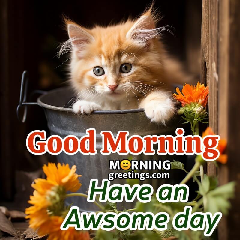 Fantastic Good Morning Have An Awsome Day Cat Image