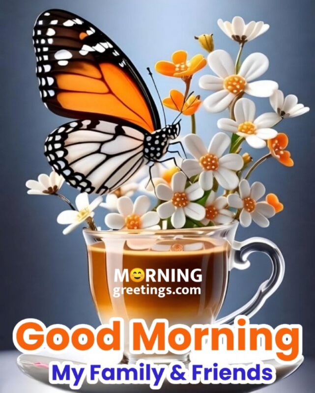 Good Morning Butterfly Picture For Family Friends