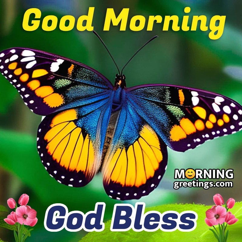 Good Morning Colorful Butterfly God Bless Image