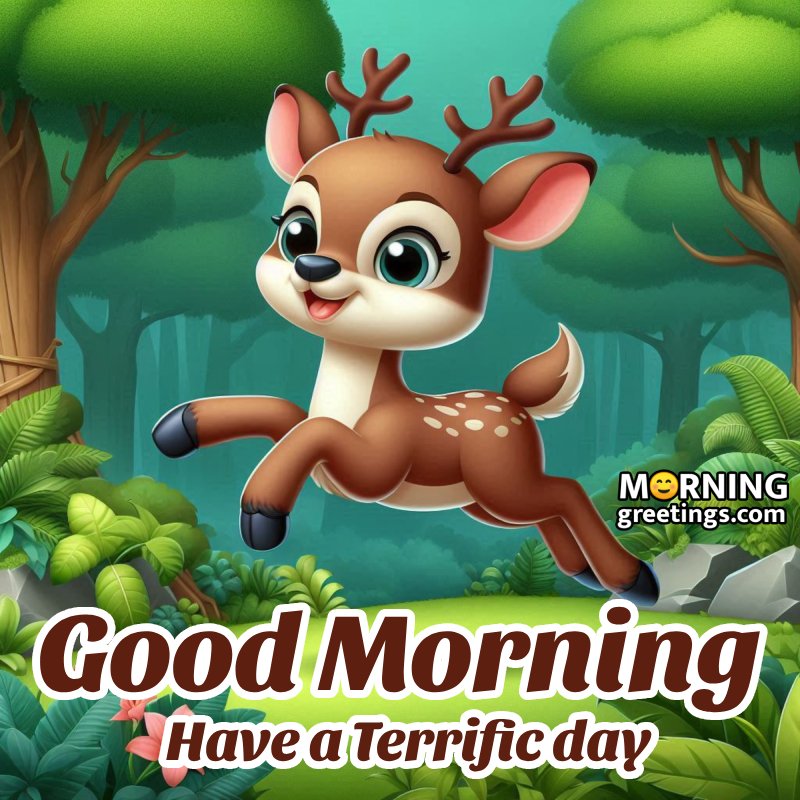 Good Morning Have A Terrific Day Deer Photo