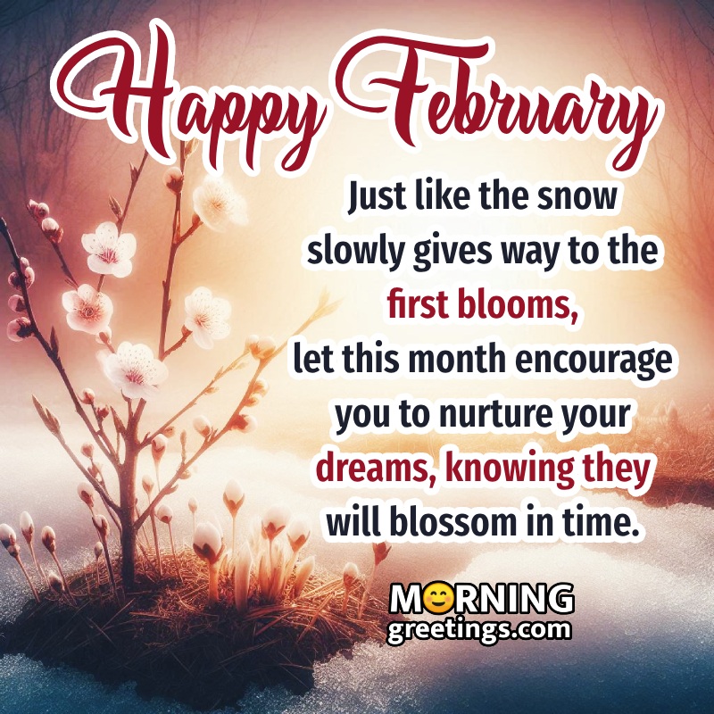 Happy February Best Message Pic