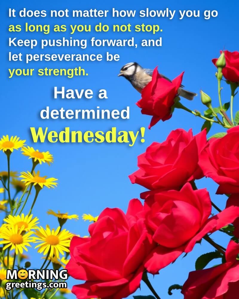 Wednesday Morning Keep Pushing Forward Quote Photo