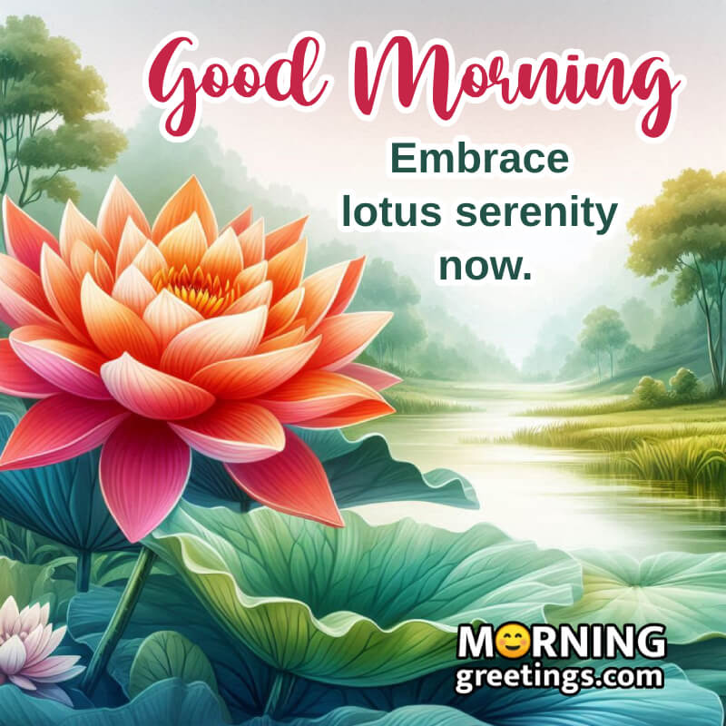Amazing Good Morning Lotus Picture