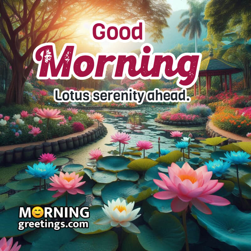 Beautiful Lotus Good Morning Pic