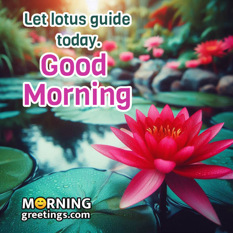Cool Good Morning Lotus Pic