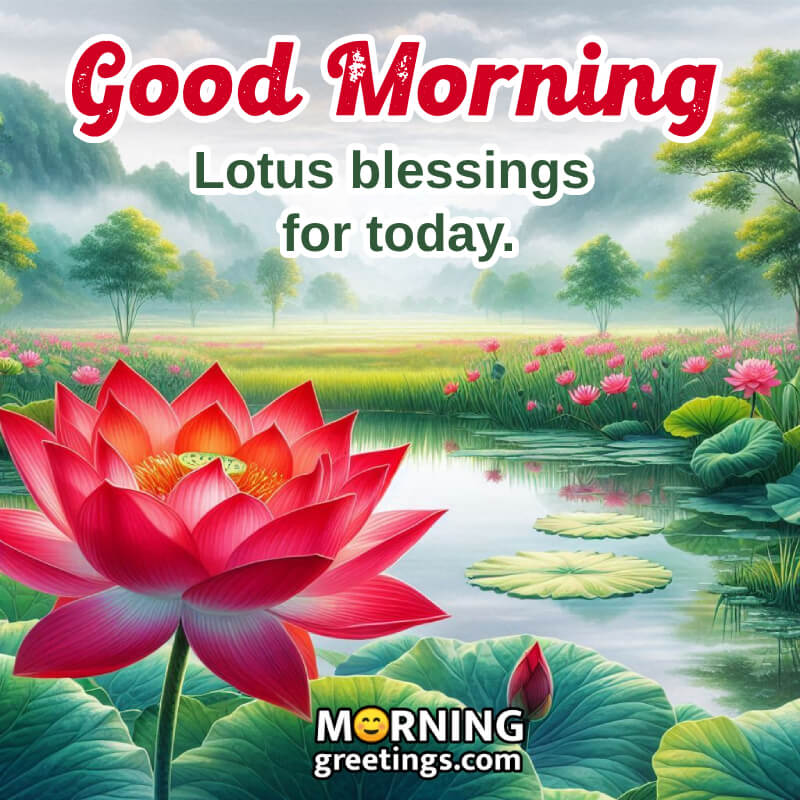 Good Morning With Lotus Pic