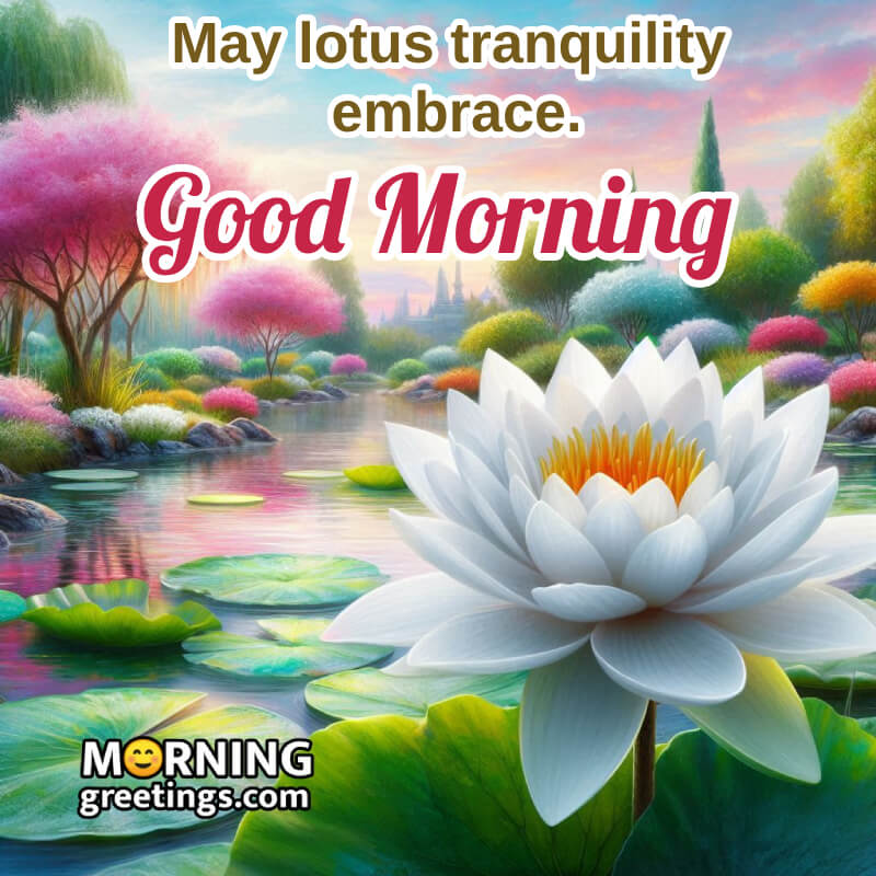 Lotus Good Morning Photo