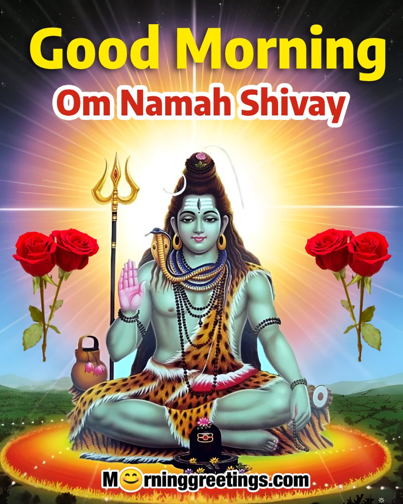 Om Namah Shivay Morning Status Picture