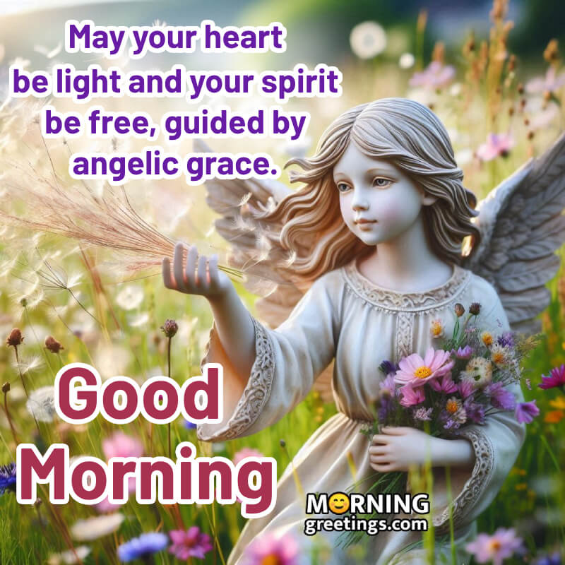 Angel Good Morning Message Pic