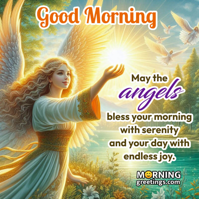 Lovely Angel Good Morning Status Image