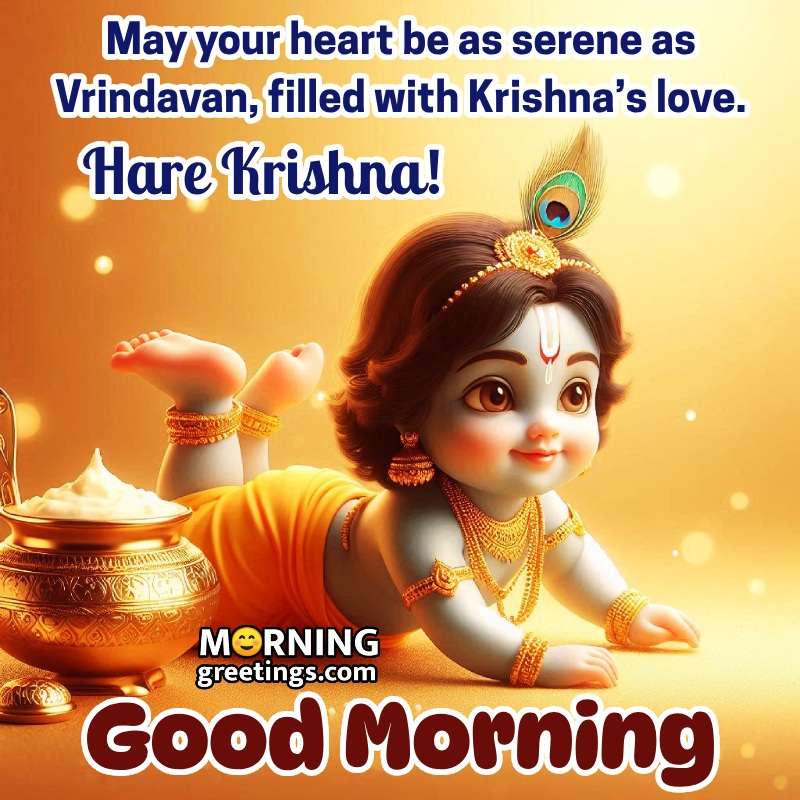 Morning Bal Krishna Lovely Picture